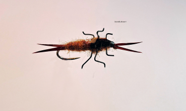 Stonefly Brown1