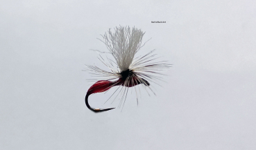 Red & Black Ant Parachute