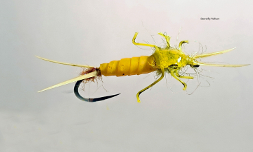 Stonefly Yellow3