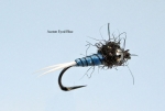 blaue acetonnymphe
